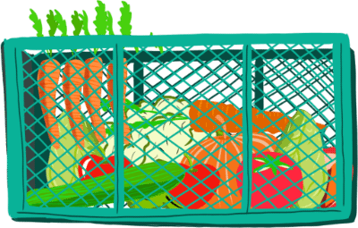 Illustration: Biokiste gefüllt mit frischem Bio-Gemüse