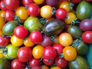 Bunter TomatenMix