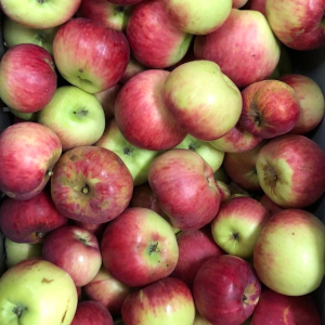 Äpfel von Streuobstwiesen